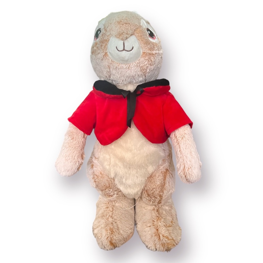 Dan Dee Peter Rabbit Huge Porch Greeter Super Cute